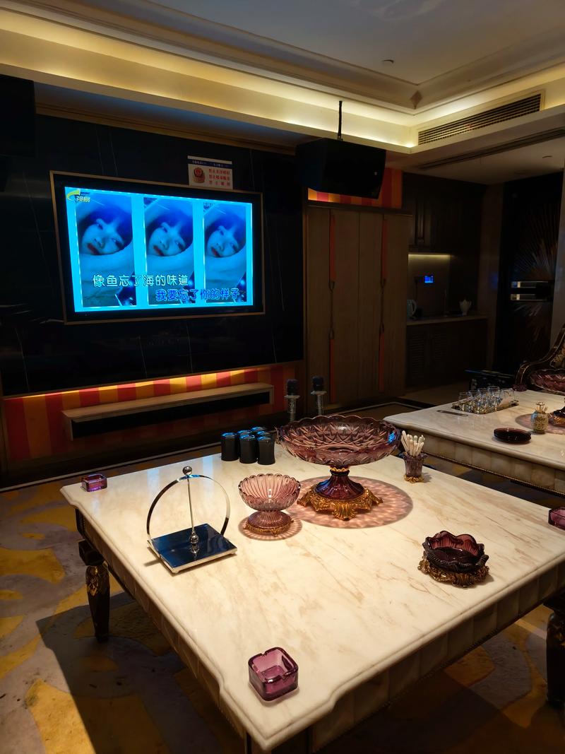 榆林商务ktv新玩法欢乐体验-横山县ktv预订